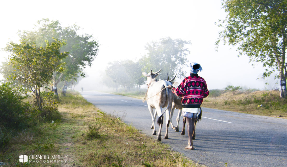 Panchapalli – Of Crisp Air and Serene Waters