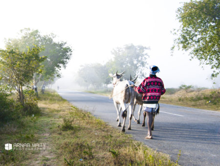 Panchapalli – Of Crisp Air and Serene Waters