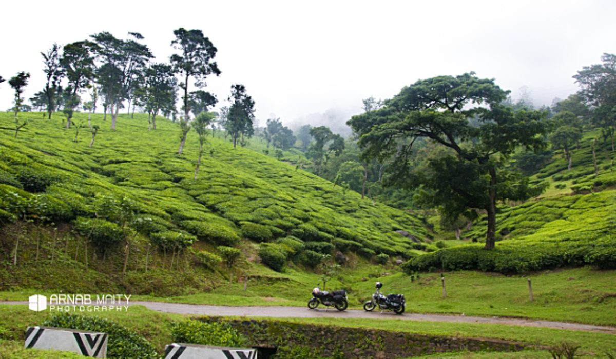 Bangalore To Munnar: From Mundane Highways to Misty Hills