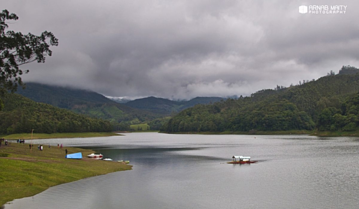 Mesmerized at Munnar