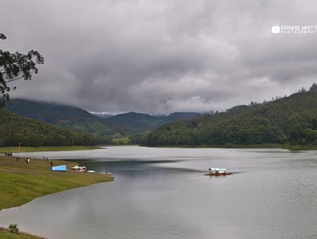 Mesmerized at Munnar